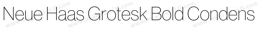 Neue Haas Grotesk Bold Condensed字体转换